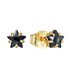 Viceroy Jewels PENDIENTES VICEROY PLATA MUJER 21008E100-35 21008E100-35 Viceroy